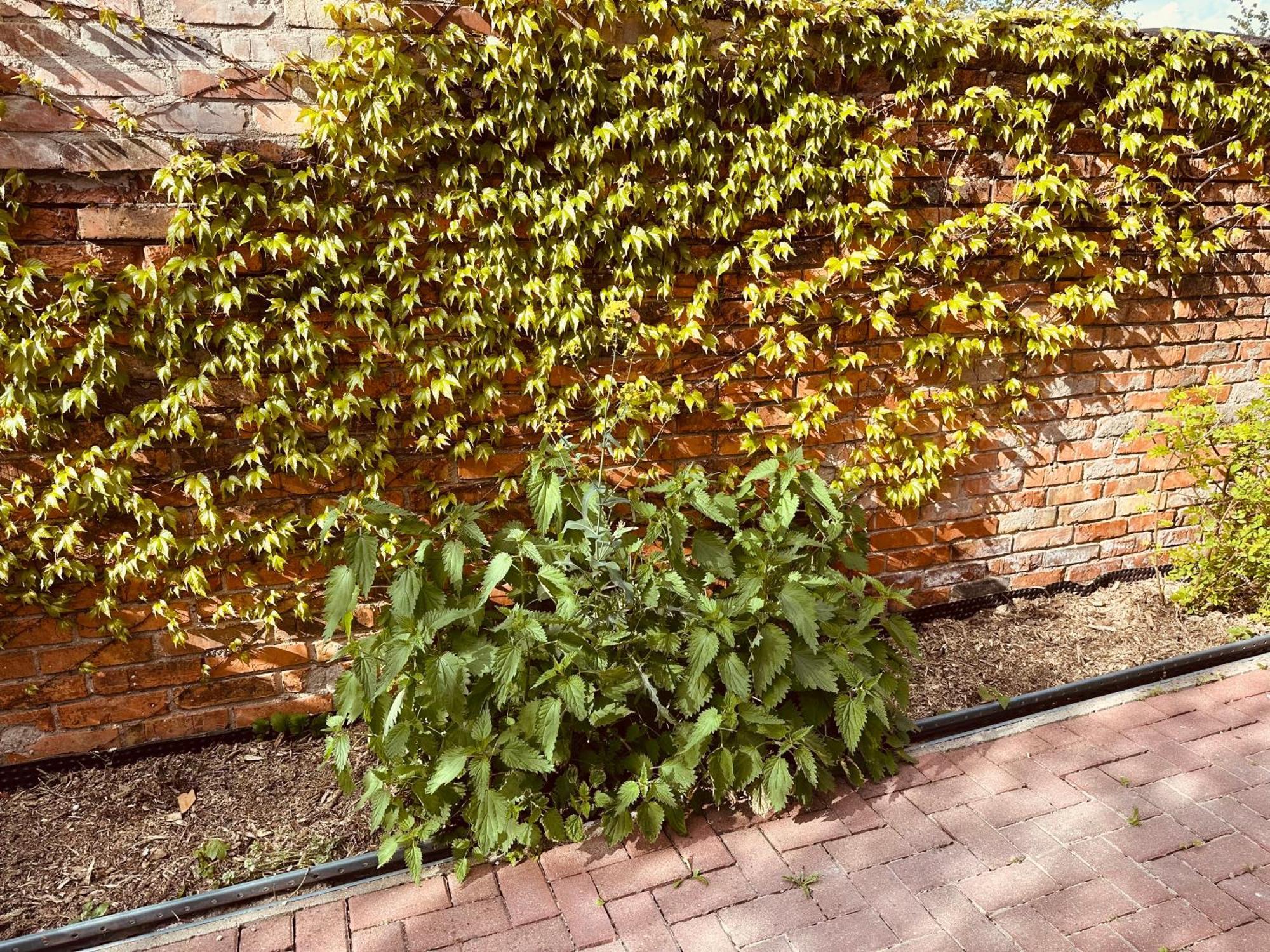 Moderne Wohnung In Eberswalde エクステリア 写真